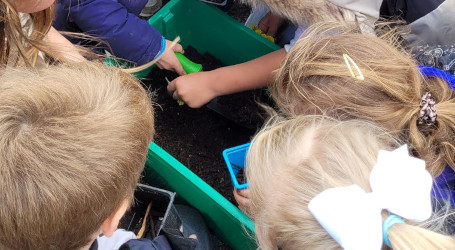 Anim scolaire potager