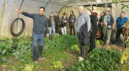 Visite de ferme © Sol Vivant Méditerranée